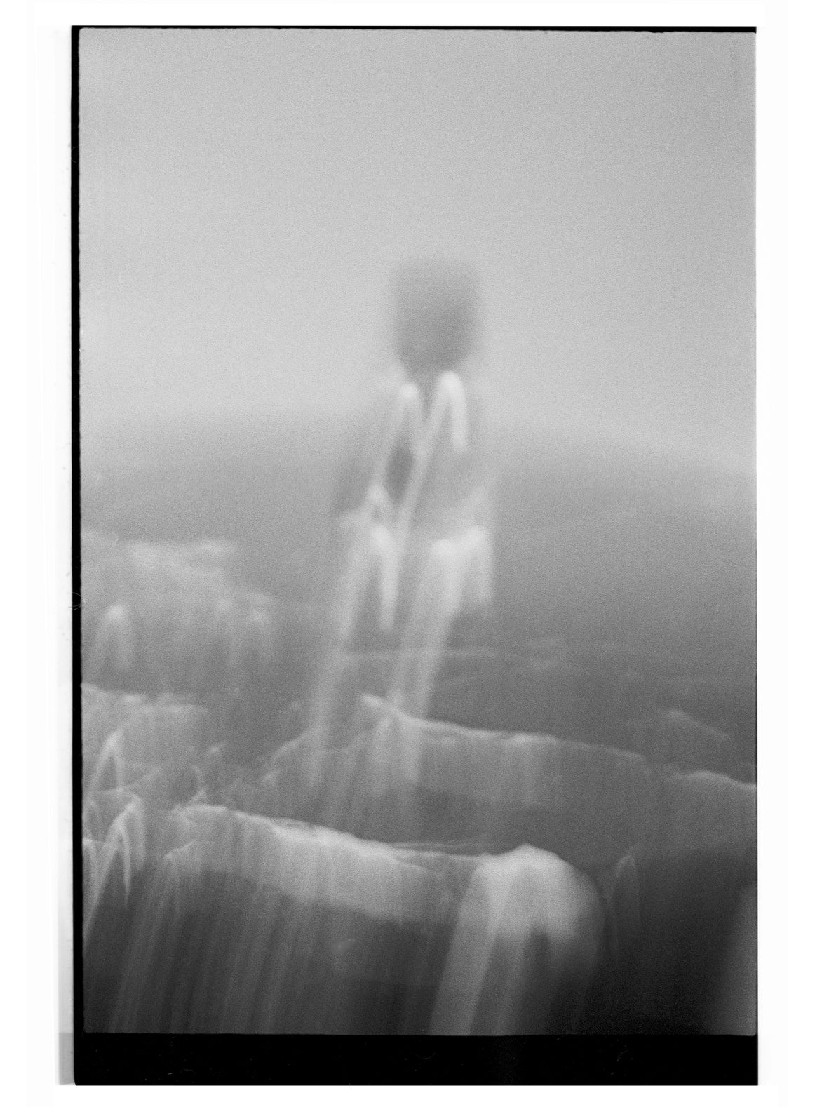 Erotikón — Eau de Parfum 50 ml — ROUCLÊ Maison Contemporaine