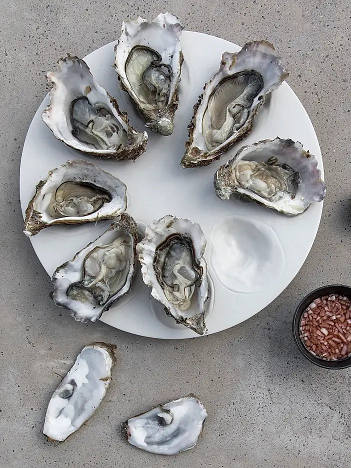 Plato para ostras — Porcelana esmaltada — ROUCLÊ Maison Contemporaine