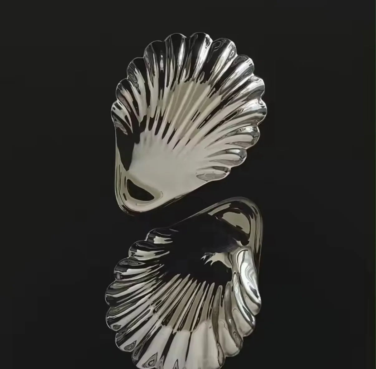 Shell Relic — Steel Dish — ROUCLÊ Maison Contemporaine