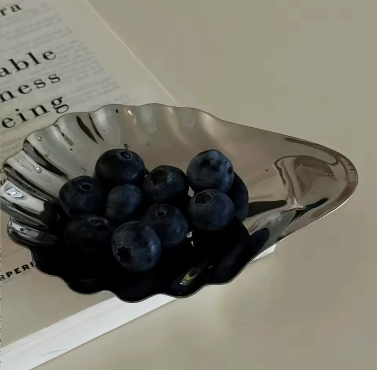 Shell Relic — Steel Dish — ROUCLÊ Maison Contemporaine