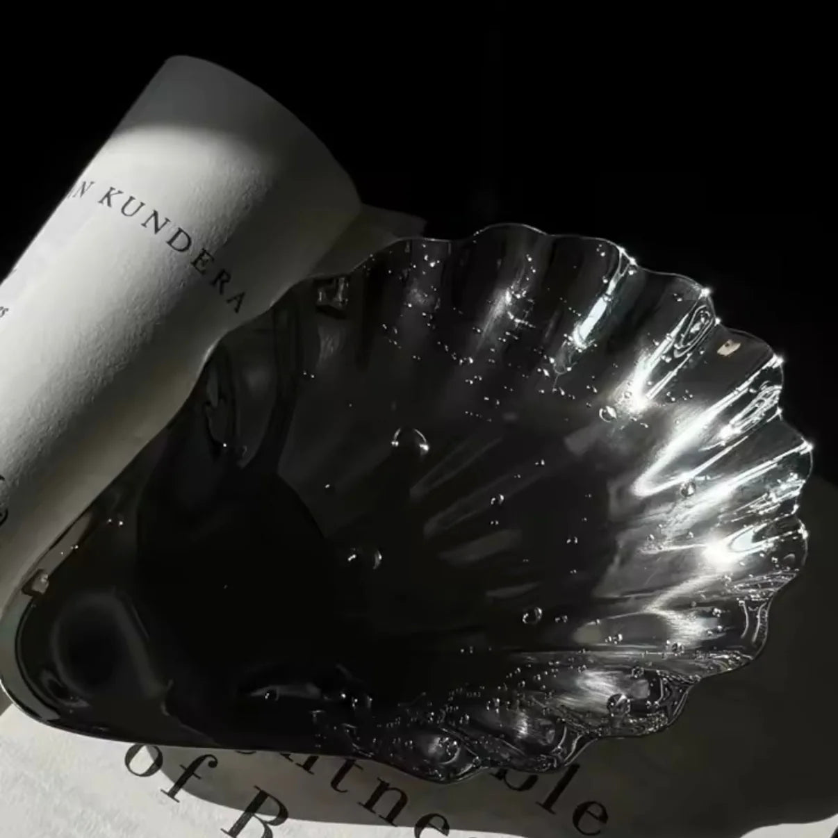 Shell Relic — Steel Dish — ROUCLÊ Maison Contemporaine