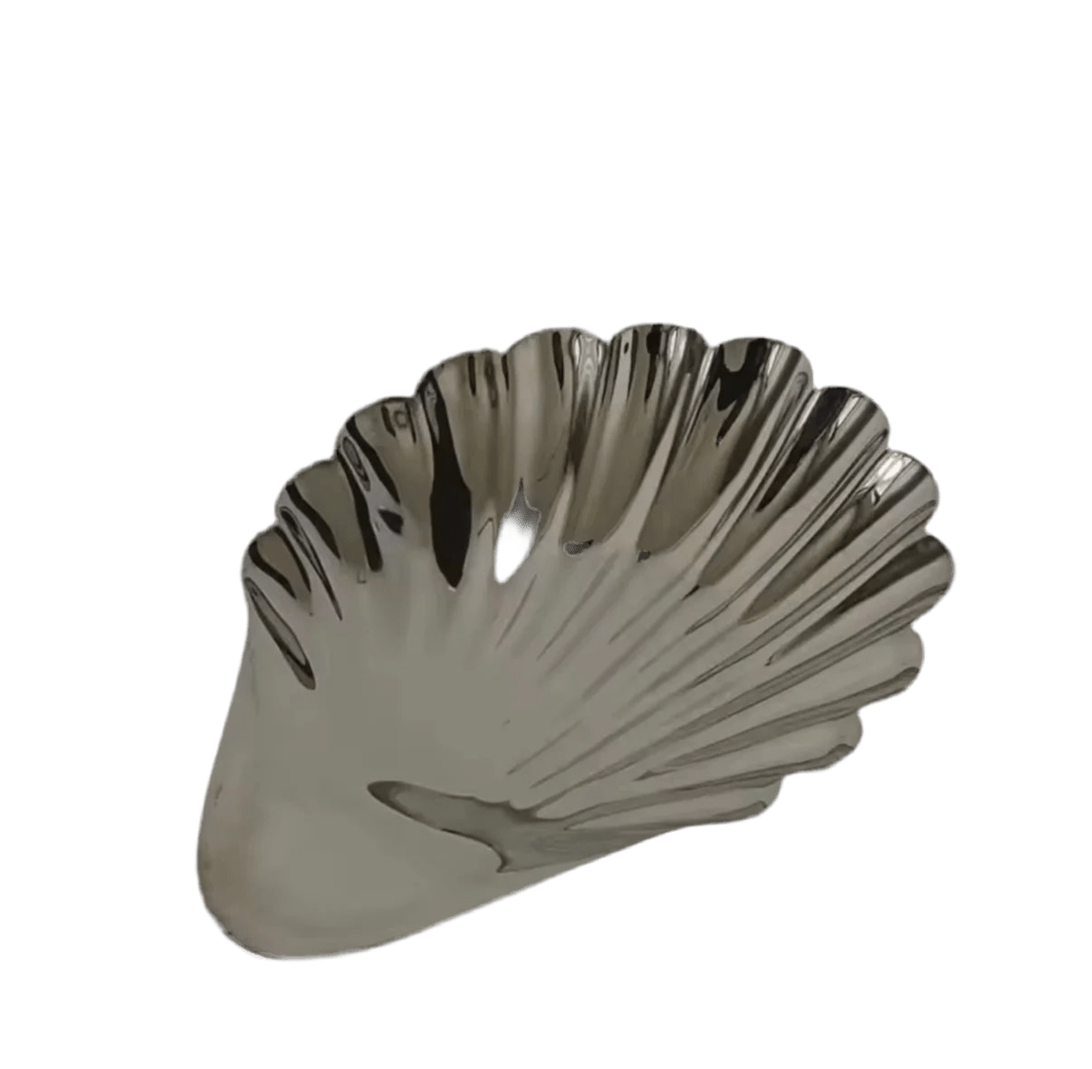 Shell Relic — Steel Dish — ROUCLÊ Maison Contemporaine